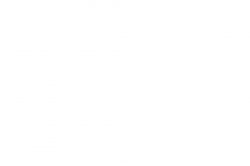 网页截图